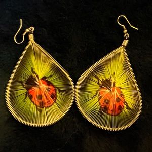 🐞Lady Bug Earrings 🥰